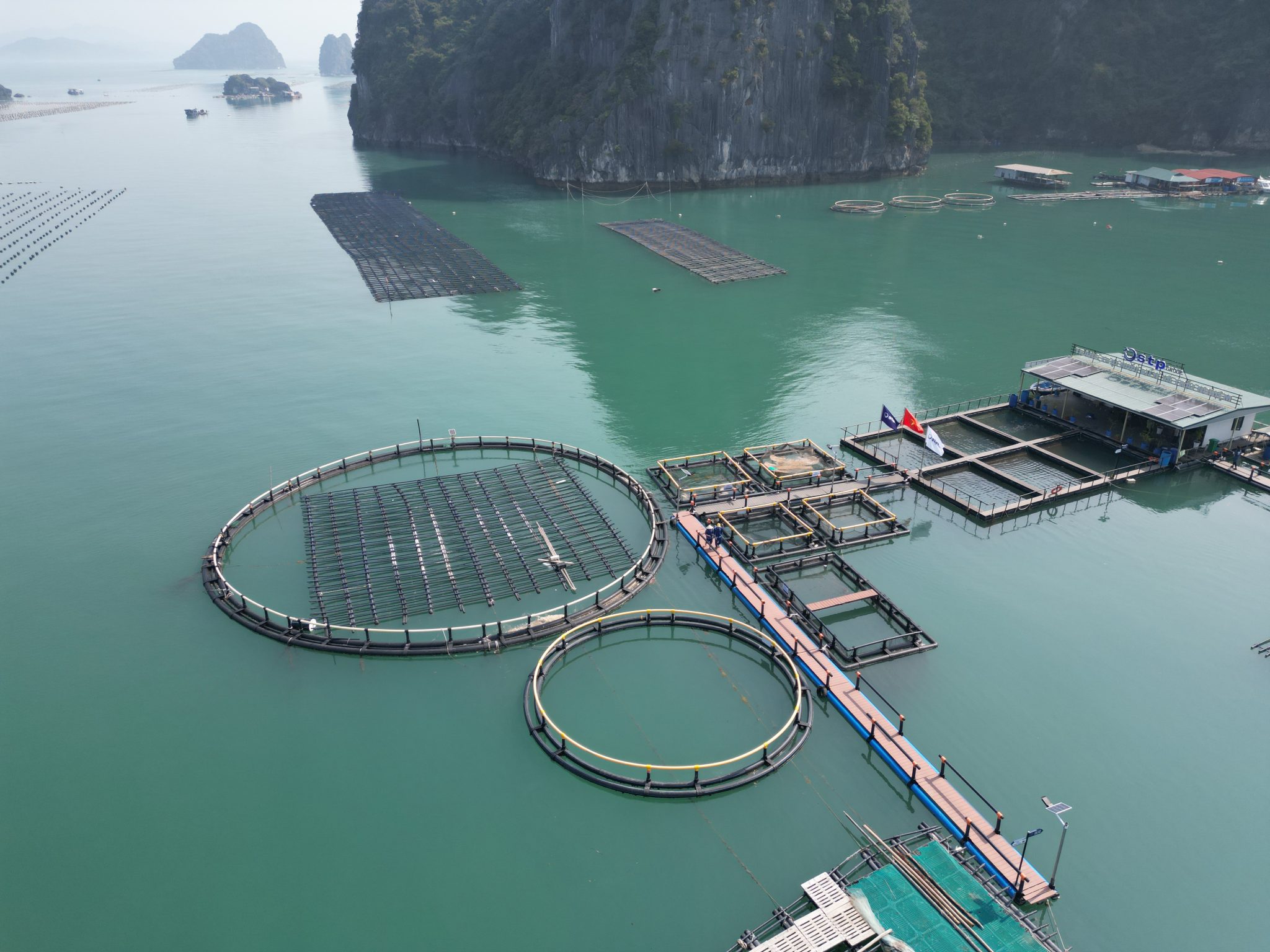 Vệ sinh khung lồng